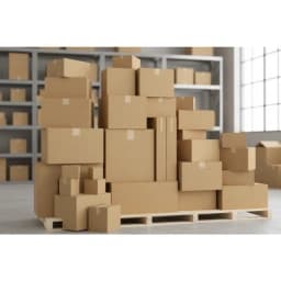 Corrugated Carton